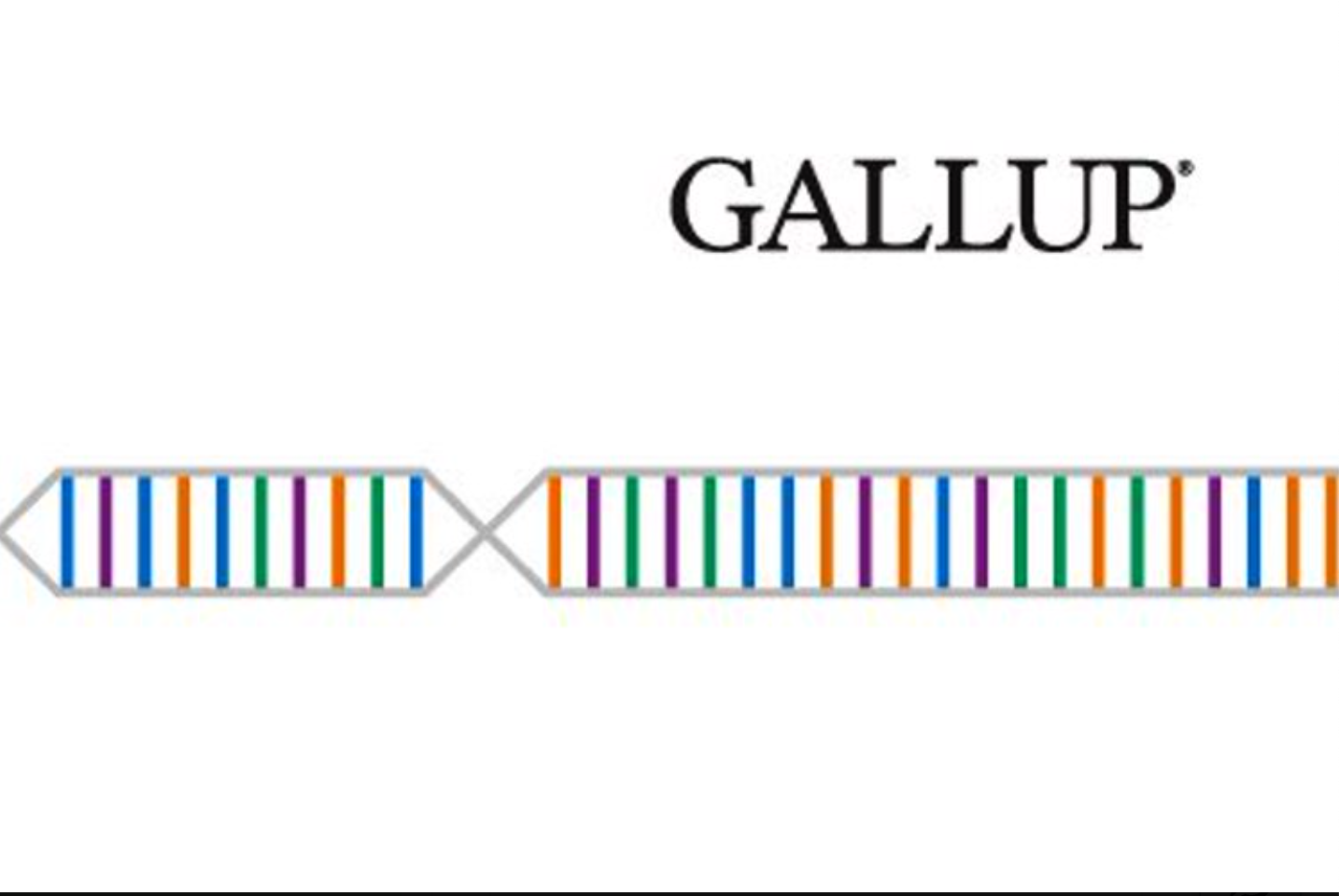 Quelle est la prochaine étape pour Gallup ?